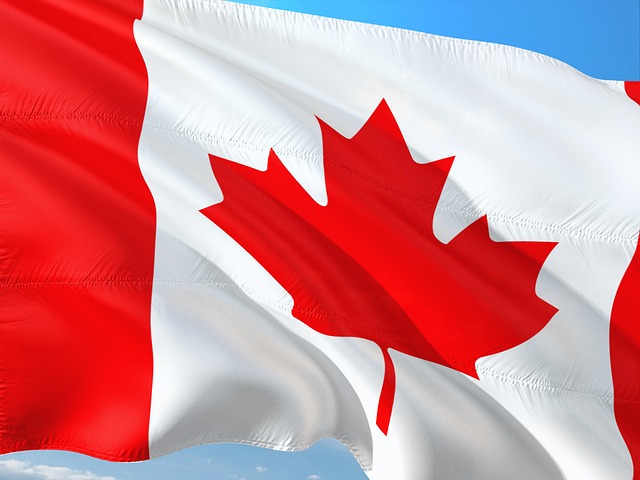 Work in Canada Without a Work Permit